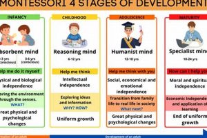 The Ultimate Guide to a Montessori Year What Is Montessori? A Complete Guide to the Montessori Education Method The Ultimate Guide to a Montessori Year | What Is Montessori? A Complete Guide to the Montessori Education Method