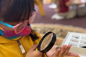 The Best Montessori Village Academy & School What Is Montessori? A Complete Guide to the Montessori Education Method The Best Montessori Village Academy & School | What Is Montessori? A Complete Guide to the Montessori Education Method