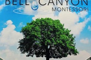 Best Bell Canyon Montessori School & Programs What Is Montessori? A Complete Guide to the Montessori Education Method Best Bell Canyon Montessori School & Programs | What Is Montessori? A Complete Guide to the Montessori Education Method