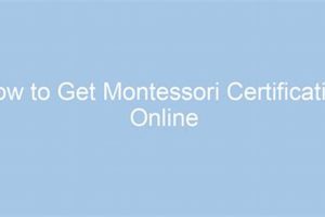 Best Online MACTE Montessori Certification Programs What Is Montessori? A Complete Guide to the Montessori Education Method Best Online MACTE Montessori Certification Programs | What Is Montessori? A Complete Guide to the Montessori Education Method