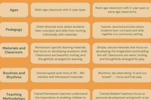 Best Waldorf vs. Montessori Guide: Find Your Fit What Is Montessori? A Complete Guide to the Montessori Education Method Best Waldorf vs. Montessori Guide: Find Your Fit | What Is Montessori? A Complete Guide to the Montessori Education Method