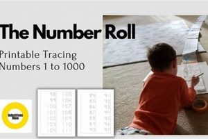 Free Montessori Number Roll Printable Worksheet What Is Montessori? A Complete Guide to the Montessori Education Method Free Montessori Number Roll Printable Worksheet | What Is Montessori? A Complete Guide to the Montessori Education Method