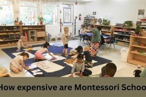Understanding Montessori Academy Prices & Costs What Is Montessori? A Complete Guide to the Montessori Education Method Understanding Montessori Academy Prices & Costs | What Is Montessori? A Complete Guide to the Montessori Education Method