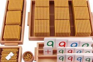 Exploring Montessori Golden Beads: A Hands-On Approach What Is Montessori? A Complete Guide to the Montessori Education Method Exploring Montessori Golden Beads: A Hands-On Approach | What Is Montessori? A Complete Guide to the Montessori Education Method