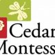 The Best Cedars Montessori School & Programs | What Is Montessori? A Complete Guide to the Montessori Education Method