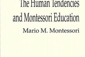Nurturing Human Tendencies: The Montessori Approach What Is Montessori? A Complete Guide to the Montessori Education Method Nurturing Human Tendencies: The Montessori Approach | What Is Montessori? A Complete Guide to the Montessori Education Method