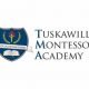 Best Montessori Schools in Tuskawilla, FL | What Is Montessori? A Complete Guide to the Montessori Education Method