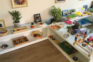 Best Montessori Sets for Learning & Development What Is Montessori? A Complete Guide to the Montessori Education Method Best Montessori Sets for Learning & Development | What Is Montessori? A Complete Guide to the Montessori Education Method