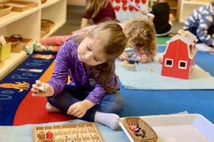 Best Montessori Schools Near Me: Find Top-Rated Programs What Is Montessori? A Complete Guide to the Montessori Education Method Best Montessori Schools Near Me: Find Top-Rated Programs | What Is Montessori? A Complete Guide to the Montessori Education Method