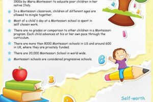 Top Facts: Montessori Education Explained What Is Montessori? A Complete Guide to the Montessori Education Method Top Facts: Montessori Education Explained | What Is Montessori? A Complete Guide to the Montessori Education Method