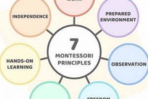 The Montessori Approach to Play: A Guide What Is Montessori? A Complete Guide to the Montessori Education Method The Montessori Approach to Play: A Guide | What Is Montessori? A Complete Guide to the Montessori Education Method