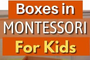 Montessori Spindle Box: A Guide for Parents & Teachers What Is Montessori? A Complete Guide to the Montessori Education Method Montessori Spindle Box: A Guide for Parents & Teachers | What Is Montessori? A Complete Guide to the Montessori Education Method
