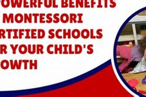 Find Certified Montessori Schools Near You What Is Montessori? A Complete Guide to the Montessori Education Method Find Certified Montessori Schools Near You | What Is Montessori? A Complete Guide to the Montessori Education Method
