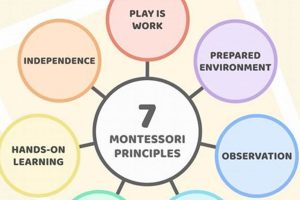 The Montessori Way: A Guide to Teaching What Is Montessori? A Complete Guide to the Montessori Education Method The Montessori Way: A Guide to Teaching | What Is Montessori? A Complete Guide to the Montessori Education Method