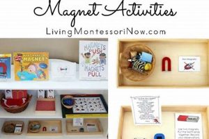 Best Children's Magnet Montessori Toys & Materials What Is Montessori? A Complete Guide to the Montessori Education Method Best Children's Magnet Montessori Toys & Materials | What Is Montessori? A Complete Guide to the Montessori Education Method