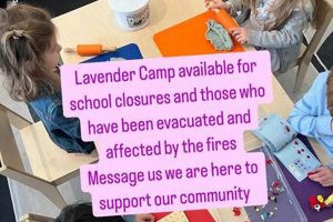 Bloom & Grow: Lavender Fields Montessori | What Is Montessori? A Complete Guide to the Montessori Education Method