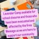 Bloom & Grow: Lavender Fields Montessori | What Is Montessori? A Complete Guide to the Montessori Education Method
