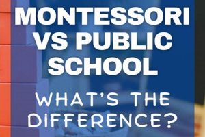 Preschool Showdown: Montessori vs. Public Schools | What Is Montessori? A Complete Guide to the Montessori Education Method