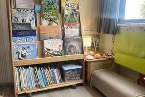 Discover Park Montessori: Nature-Based Learning | What Is Montessori? A Complete Guide to the Montessori Education Method