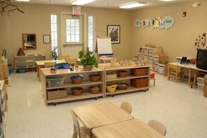 Best Montessori Schools in Naperville, IL What Is Montessori? A Complete Guide to the Montessori Education Method Best Montessori Schools in Naperville, IL | What Is Montessori? A Complete Guide to the Montessori Education Method