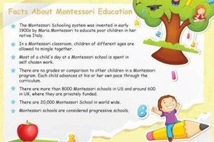 Best Montessori Education Articles & Resources | What Is Montessori? A Complete Guide to the Montessori Education Method