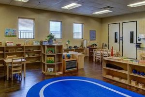 Best Montessori Preschools in Irving, TX | What Is Montessori? A Complete Guide to the Montessori Education Method
