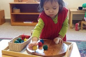 Best Montessori Toddler Programs: A Guide | What Is Montessori? A Complete Guide to the Montessori Education Method