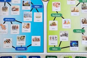 Montessori: Nurturing a Child's Fundamental Needs | What Is Montessori? A Complete Guide to the Montessori Education Method