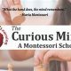 Nurture Curiosity: Curious Minds Montessori West School | What Is Montessori? A Complete Guide to the Montessori Education Method