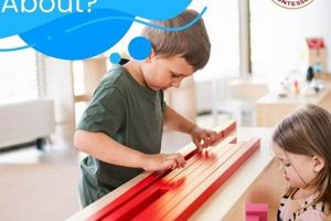 The Keller Montessori Method: A Guide | What Is Montessori? A Complete Guide to the Montessori Education Method