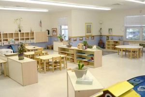 Discover Greatwood Montessori School: A Unique Approach | What Is Montessori? A Complete Guide to the Montessori Education Method