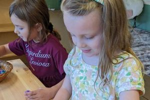 The Best Firelands Montessori Academy in Ohio What Is Montessori? A Complete Guide to the Montessori Education Method The Best Firelands Montessori Academy in Ohio | What Is Montessori? A Complete Guide to the Montessori Education Method