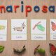 The Montessori Butterfly: A Child's Metamorphosis | What Is Montessori? A Complete Guide to the Montessori Education Method