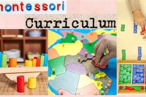 Understanding the Montessori Curriculum: A Guide | What Is Montessori? A Complete Guide to the Montessori Education Method