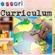 Understanding the Montessori Curriculum: A Guide | What Is Montessori? A Complete Guide to the Montessori Education Method