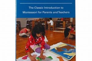 Complete Montessori Services Catalog & Guide | What Is Montessori? A Complete Guide to the Montessori Education Method