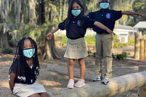 The Tubman Montessori Method: A Guide | What Is Montessori? A Complete Guide to the Montessori Education Method