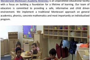 Best Wonderland Montessori Academy | Enroll Now | What Is Montessori? A Complete Guide to the Montessori Education Method