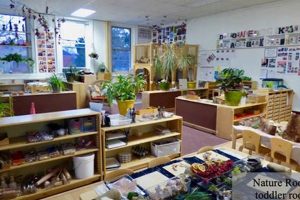 Best Macdonald Montessori Reviews &amp; Ratings | What Is Montessori? A Complete Guide to the Montessori Education Method