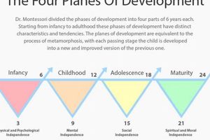 Understanding Montessori's 4 Planes of Development | What Is Montessori? A Complete Guide to the Montessori Education Method
