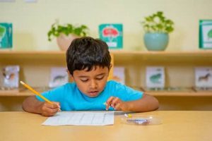 Best Fulbright Montessori Reviews &amp; Program Guide | What Is Montessori? A Complete Guide to the Montessori Education Method