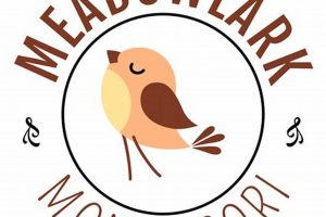 Discover Meadowlark Montessori School What Is Montessori? A Complete Guide to the Montessori Education Method Discover Meadowlark Montessori School | What Is Montessori? A Complete Guide to the Montessori Education Method