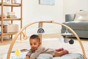 Best Discoverosity Montessori Activity Gym for Playful Learning What Is Montessori? A Complete Guide to the Montessori Education Method Best Discoverosity Montessori Activity Gym for Playful Learning | What Is Montessori? A Complete Guide to the Montessori Education Method