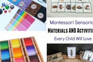 Best Montessori Sensorial Materials for Learning What Is Montessori? A Complete Guide to the Montessori Education Method Best Montessori Sensorial Materials for Learning | What Is Montessori? A Complete Guide to the Montessori Education Method