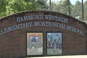 Best Hammond Westside Montessori in LA | What Is Montessori? A Complete Guide to the Montessori Education Method