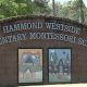 Best Hammond Westside Montessori in LA | What Is Montessori? A Complete Guide to the Montessori Education Method