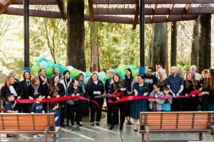 Best Montessori Schools in Bellevue, WA What Is Montessori? A Complete Guide to the Montessori Education Method Best Montessori Schools in Bellevue, WA | What Is Montessori? A Complete Guide to the Montessori Education Method