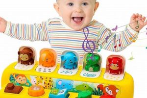 Best Montessori Toys for Babies 9+ Months | What Is Montessori? A Complete Guide to the Montessori Education Method