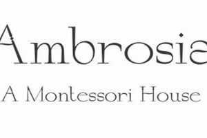 The Best Ambrosia Montessori Guide for Parents | What Is Montessori? A Complete Guide to the Montessori Education Method