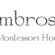 The Best Ambrosia Montessori Guide for Parents | What Is Montessori? A Complete Guide to the Montessori Education Method